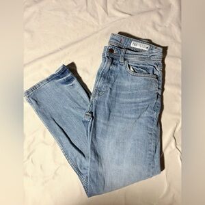 Zara Women's Straight Leg Jeans in Light Blue